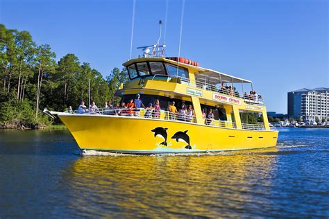 big fun dolphin cruise orange beach|best dolphin cruises orange beach.